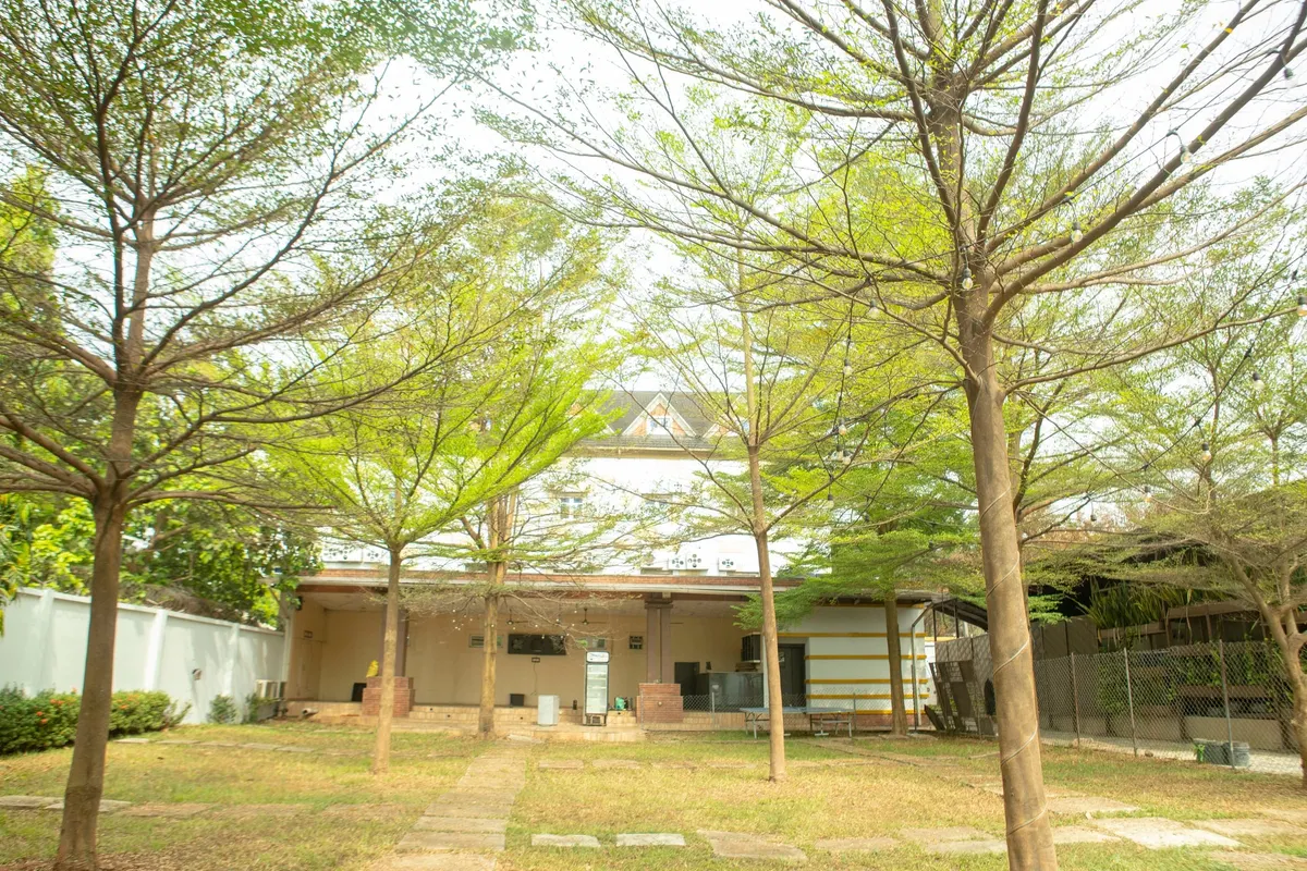 Gardens & terrace